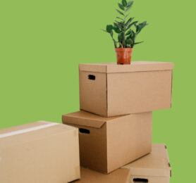 Archive Boxes