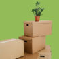 Archive Boxes