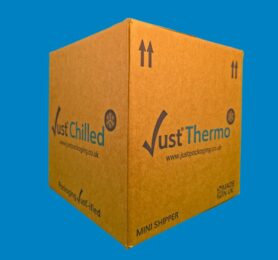 Eco Friendly Insulated Boxes